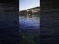 #sunlight ☀️ ✨ on #water 🌊 in #marsalforn #gozo #malta #travel #ocean 😎🇲🇹