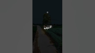 وَجَزَاهُم بِمَا صَبَرُوا جَنَّةً وَحَرِيرًا |سورة الانسان~الآية12~القارئ الشيخ عصام حمود