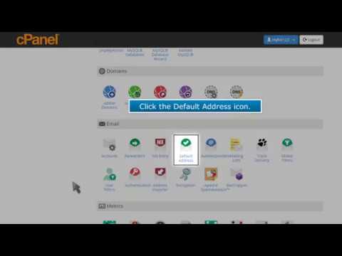 cPanel 3 How to set a default email in cPanel