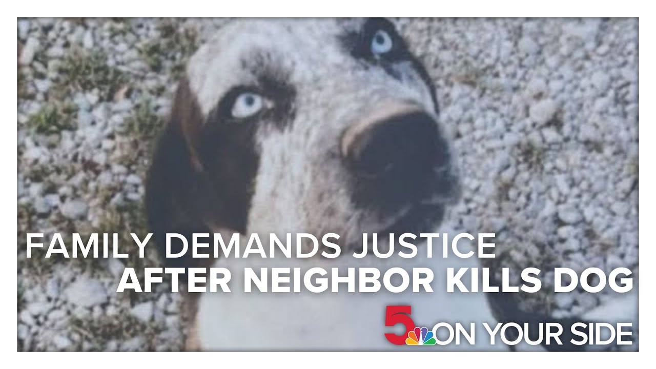 Your Neighbour Kills Puppies