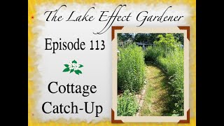 Episode 113:  Cottage Catch up