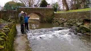 Wincanton's River Cale health survey