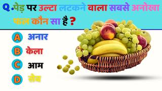 General knowledge || GK in Hindi || GK quiz || quick GK MCQ || GK question answer