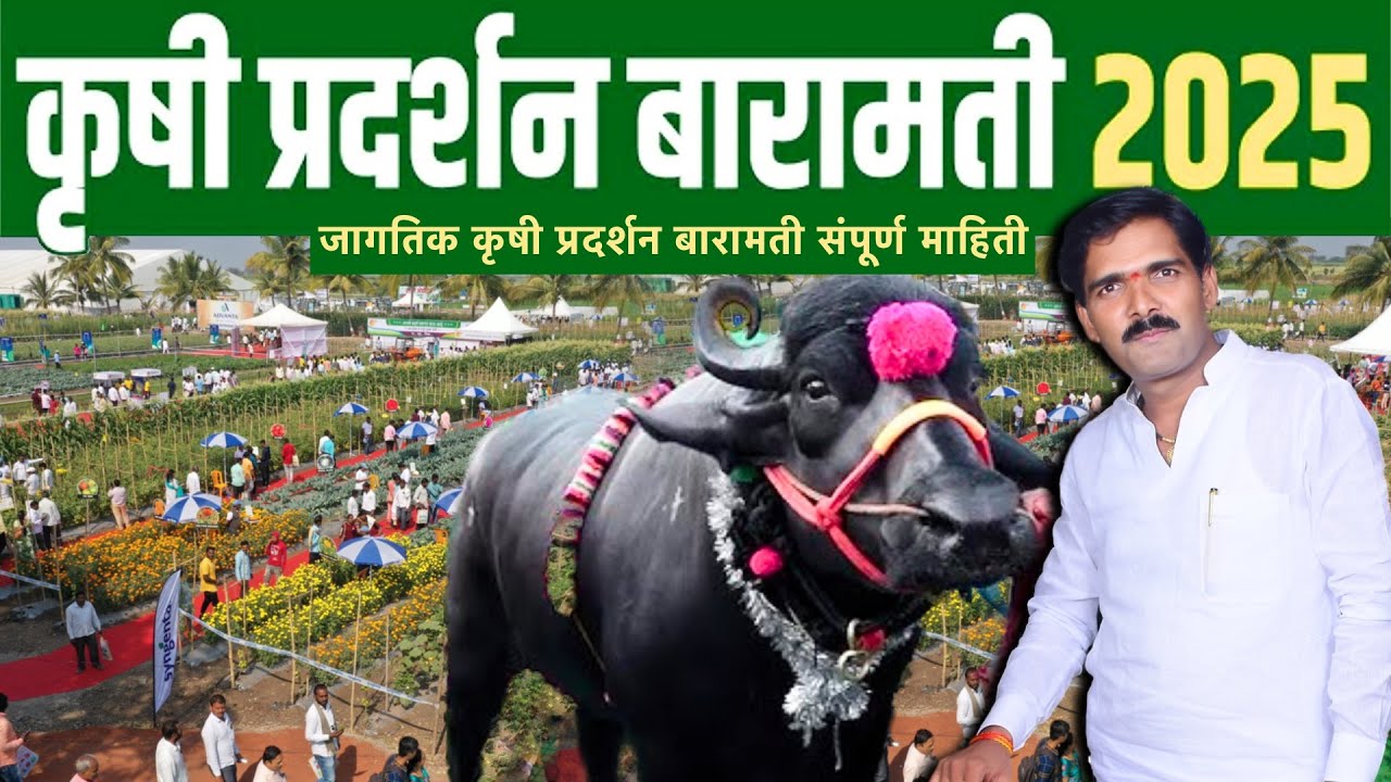 Baramati krushi pradarshan 2025 | Sharadchandra ji  Pawar saheb Documentary | Ghanasham Yede