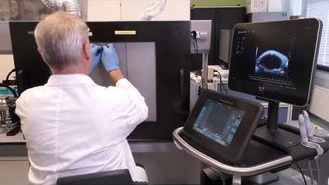 Vevo LAZR-X Transducers by FUJIFILM VisualSonics