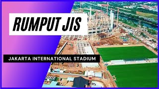 RUMPUT HYBRID LAPANGAN LATIHAN STADION JIS