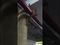 fairline pipe and angle fitting