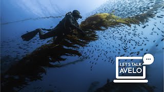 Let's Talk Avelo with RAD divers