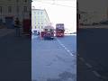 Экскурсии на старых и новых автобусах| Выбирай!|#санктпетербург #экскурсии #travel #russia #shorts