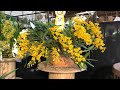 EXPOSIÇÃO AMO ORQUÍDEAS 2019