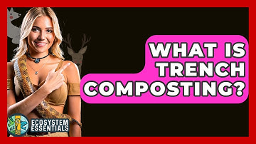 What Is Trench Composting? - Ecosystem Essentials