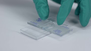 QuantaCell Automated Cell Counter - Quick Start