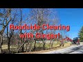 A quick roadside clearing with Ginger, the SV100 and Fecon Mulcher