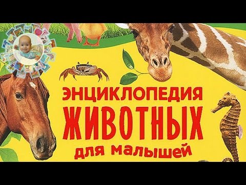 Лучшая книга про животных для детей! "Энциклопедия животных для малышей" Росмэн