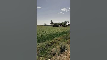 #like #المنشاوي #اسلام #تصويري #اكسبلور #nature #المصحف #like #duet #تلاوه_خاشعه #راحة_نفسية #قرآن