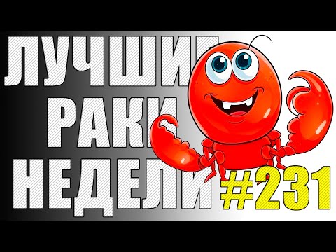 Видео: ЛРН выпуск №231 🤪 БРАТЦЫ-АКРОБАТЦЫ и БАШНЯ-БУМЕРАНГ [Лучшие Раки Недели]