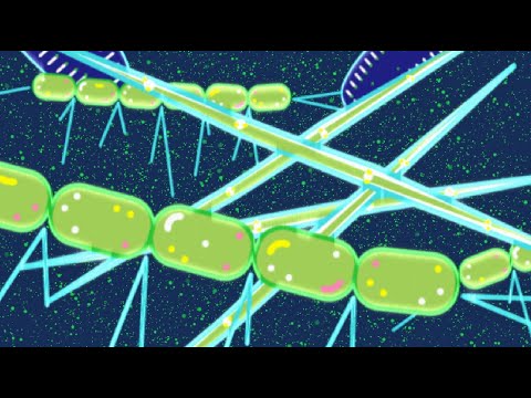 Dig In to the Science Behind Asphalt Formation