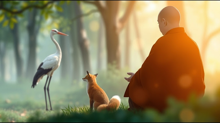 La Grulla y el Zorro: Un Relato Zen para Despertar tu Fuerza Interior