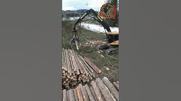 Speedy Operator cuts and sorts logs quickly! #working #forestry #work #tigercat #logging