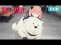 Dog Rider! | DUB | SPY x FAMILY