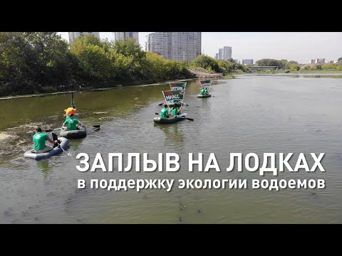 Акция экологов на