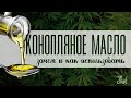 Польза конопляного масла: омега-3 и не только. Как и сколько есть, как выбирать.