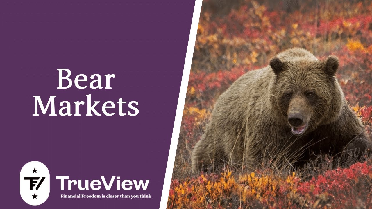 How to invest during bear markets YouTube