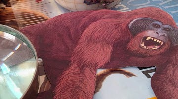 What If Gigantopithecus Hadn