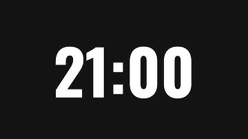21 Minute Timer