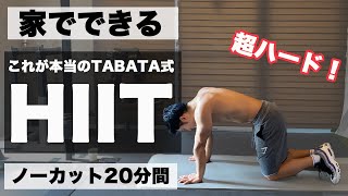 Tabata式HIITトレーニング DVD 全16枚 新品 Yahoo!オークション