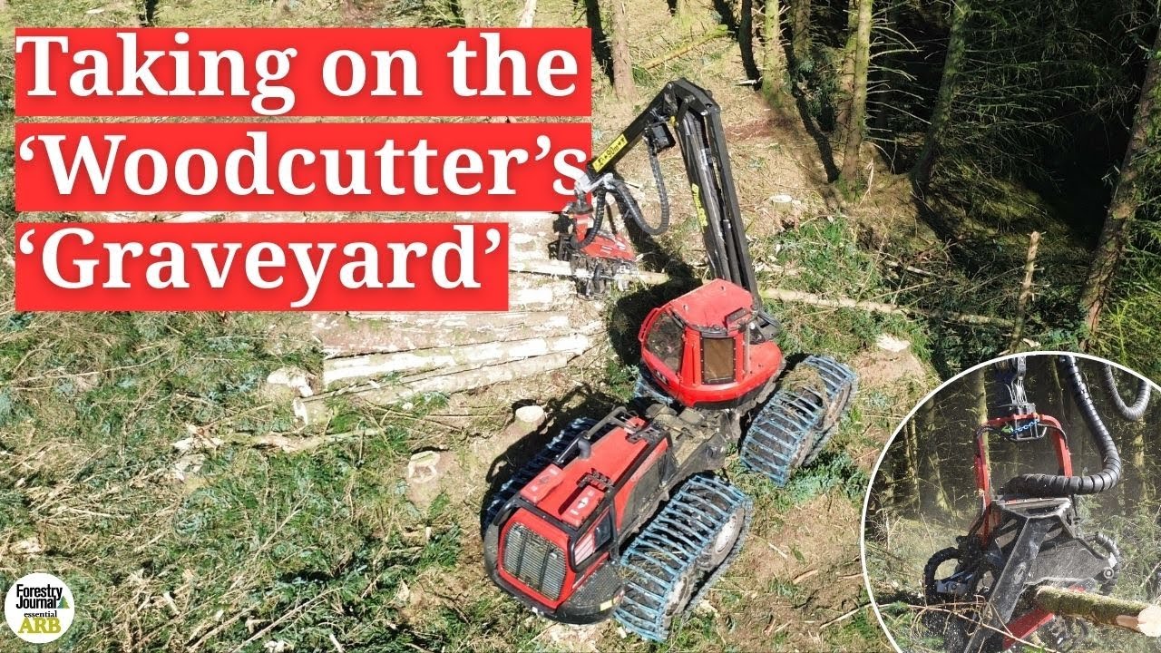 Как экскаватор Komatsu 951XC отправился на «кладбище лесорубов» (и победил).