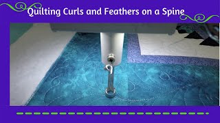 Free motion Curly feather border design