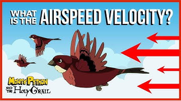 What is the Airspeed Velocity of an Unladen Swallow?