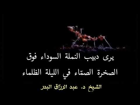 يرى سبحانه كل شيئ من فوق سبع سماوات الشيخ د عبد الرزاق البدر حفظه الله 