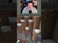 Saving a Cat From a Ledge! | Minecraft SMP Shorts