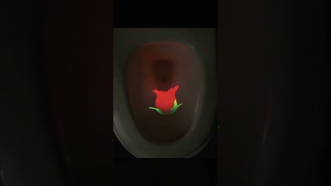 Perfect for my boyfriend! 