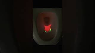 Perfect for my boyfriend! #shorts #toys #homedecor #lamp #funny #creative #bathroom #gift #fyp