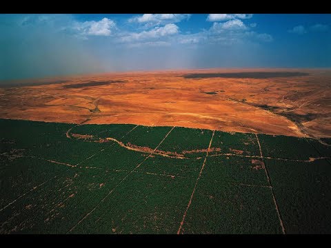 Video: Il Popolamento Dell'ultimo Sahara Verde Rivelato Da Resequencing Ad Alta Copertura Di Patrilineage Trans-sahariane