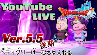 【ドラクエ10】ぺディグリーのドラクエ10 明日に備えて今日やれる事を！【ネタバレ注意】