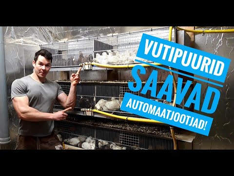 Video: Mis on automaatjootjad?