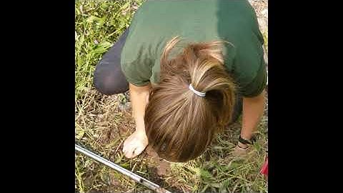 redox, pH, soil moisture