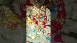 राधे राधे 🙏🦚✨ #ytshorts #laddu #likeandsubscribe #shyam #radhekrishnaa #comments #keepsupporting