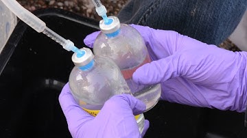 Searching for Microbial Dark Matter - Sampling Dark Matter from Well8