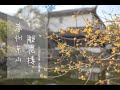 一分鐘逛景點-蘇州雕花樓