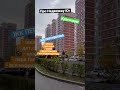 золотая осень в перспективе 😃