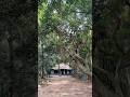 കാട്ടിൽ അമ്പലം