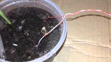 Invernadero automatizado JAVA-ARDUINO