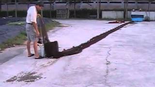 you sheng-koi diary20100902-1 曬網-收網
