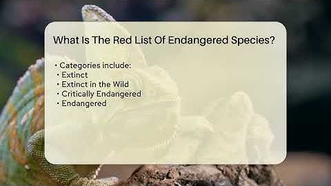 What Is The Red List Of Endangered Species? - Ecosystem Essentials