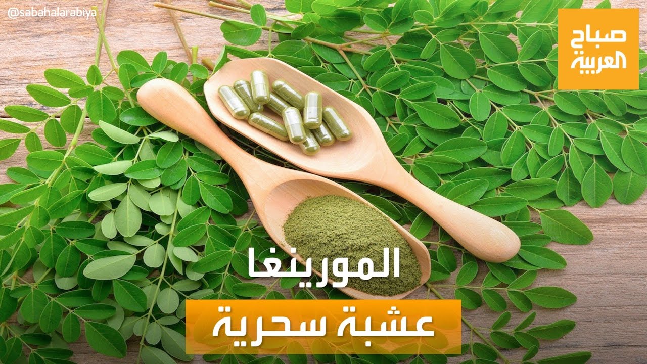 صباح العربية | 